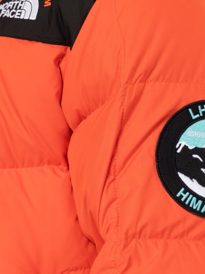 Куртка The North Face NSE Lhotse Expedition модель NF0A4QYLR151 — фото 4 - INTERTOP