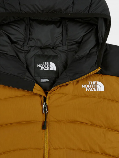 Куртка The North Face Lapaz модель NF00CYG9VC71 — фото 4 - INTERTOP