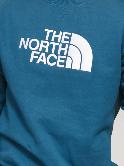 Свитшот The North Face Drew Peak модель NF0A4SVRTAS1 — фото 3 - INTERTOP