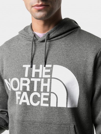 Худі The North Face Drew Peak модель NF0A3XYDDYY1 — фото 3 - INTERTOP