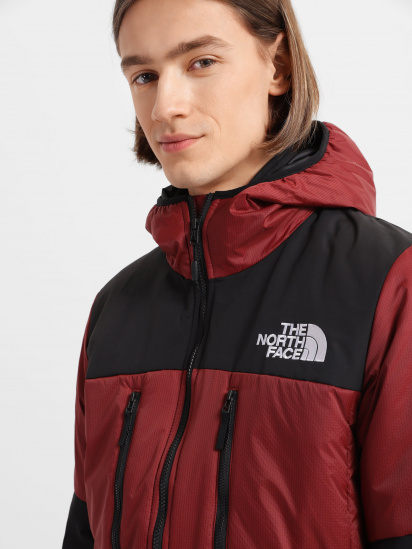 Зимова куртка The North Face Himalayan Light Synth Hoodie модель NF0A3L2GBDQ1 — фото 4 - INTERTOP