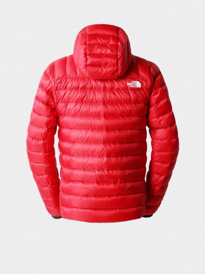 Зимова куртка The North Face SUMMIT BREITHORN модель NF0A7UT86821* — фото 7 - INTERTOP