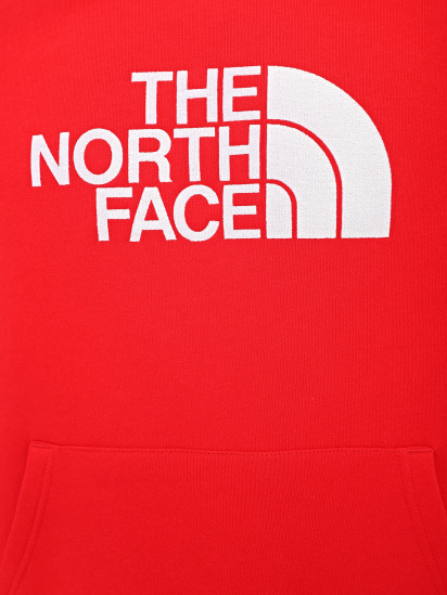 Худи The North Face Drew Peak модель NF00AHJYKZ41 — фото 4 - INTERTOP