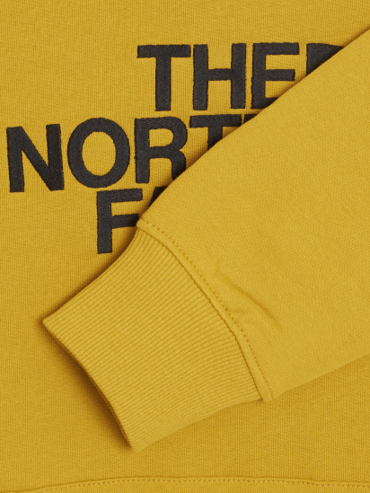 Худи The North Face Drew Peak модель NF00AHJY76S1 — фото 4 - INTERTOP