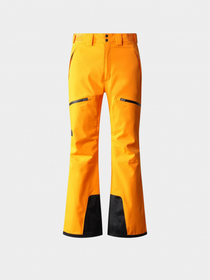 Лыжные штаны The North Face Chakal Pant модель NF0A5IYV78M1 — фото 4 - INTERTOP