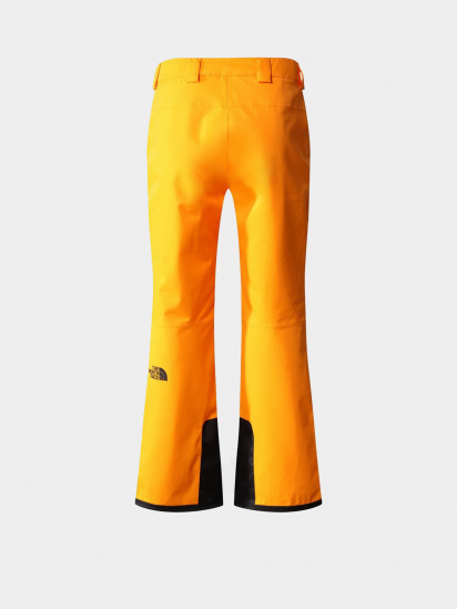 Лижні штани The North Face Chakal Pant модель NF0A5IYV78M1 — фото 5 - INTERTOP