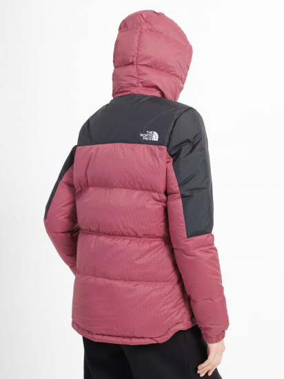 Зимняя куртка The North Face Diablo модель NF0A55H486H1 — фото 3 - INTERTOP