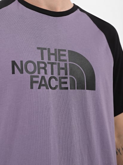 Футболка The North Face Raglan Easy модель NF0A37FVN141 — фото 3 - INTERTOP