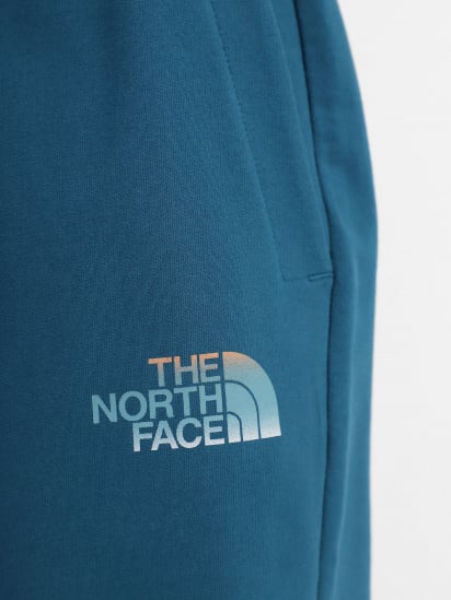Шорты спортивные The North Face Graphic модель NF0A83FREFS1 — фото 4 - INTERTOP