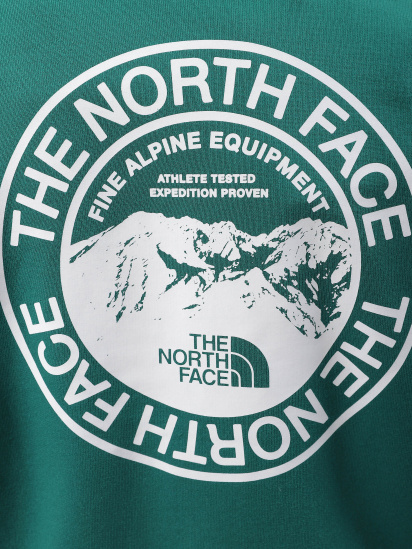 Кофта The North Face Biner Graphic модель NF0A7R4PI0X1 — фото 4 - INTERTOP