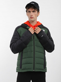 Зелёный - Демисезонная куртка The North Face Doudoune Capuche Lapaz