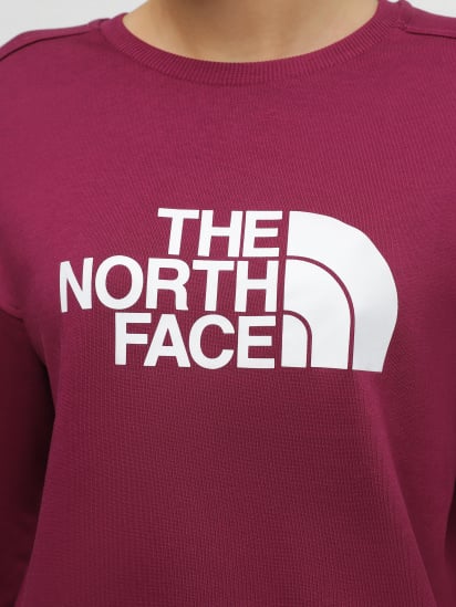 Свитшот The North Face Drew Peak Crew модель NF0A3S4GI0H1 — фото 4 - INTERTOP