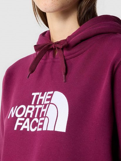 Худи The North Face Drew Peak модель NF0A55ECI0H1 — фото 5 - INTERTOP