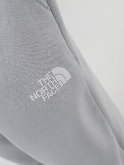 Штаны спортивные The North Face M Icons Pant модель NF0A87DQA0M1 — фото 4 - INTERTOP