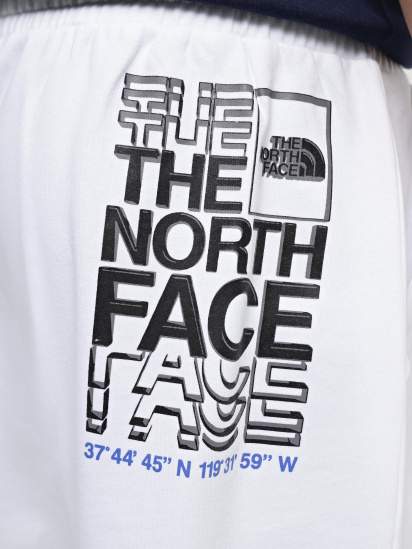 Шорты спортивные The North Face Coordinates модель NF0A87ECFN41 — фото 4 - INTERTOP