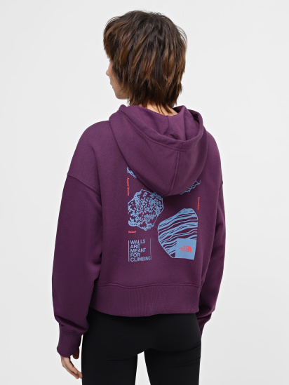 Худи The North Face W Outdoor Graphic Hoodie модель NF0A880PV6V1 — фото 3 - INTERTOP