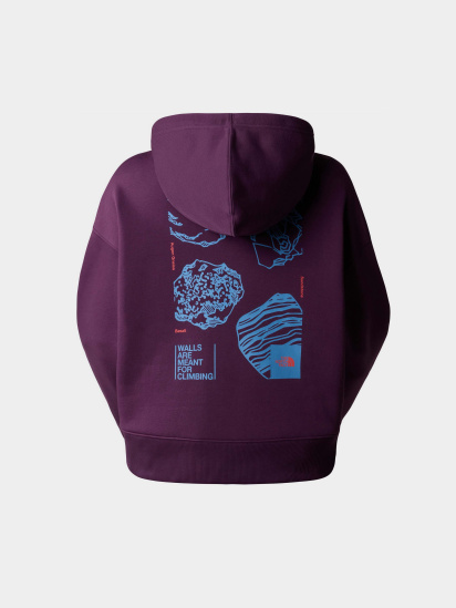 Худи The North Face W Outdoor Graphic Hoodie модель NF0A880PV6V1 — фото 7 - INTERTOP