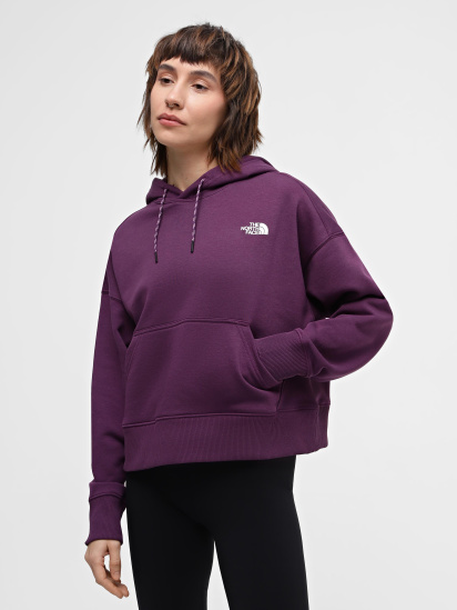Худи The North Face W Outdoor Graphic Hoodie модель NF0A880PV6V1 — фото - INTERTOP