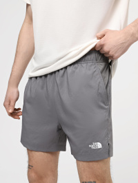 Серый - Шорты спортивные The North Face M 24/7 5'' Shorts