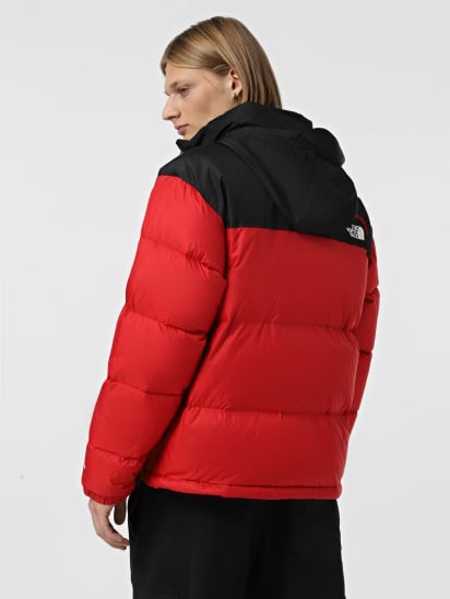 Пуховик The North Face 1996 Retro Nuptse модель NF0A3C8D7GO1 — фото 3 - INTERTOP