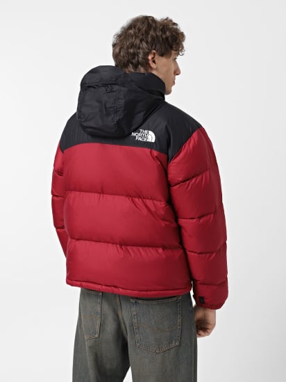 Пуховик The North Face 1996 Retro Nuptse модель NF0A3C8D5BO1 — фото 3 - INTERTOP