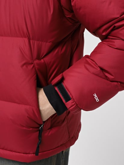 Пуховик The North Face 1996 Retro Nuptse модель NF0A3C8D5BO1 — фото 4 - INTERTOP