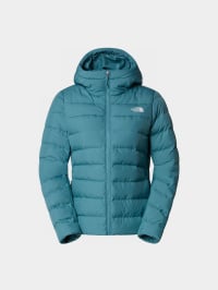 Блакитний - Зимова куртка The North Face