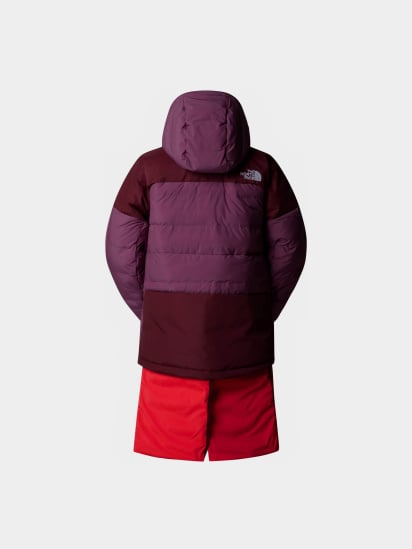 The North Face NF0A87VB8VO1 модель NF0A87VB8VO1 — фото - INTERTOP