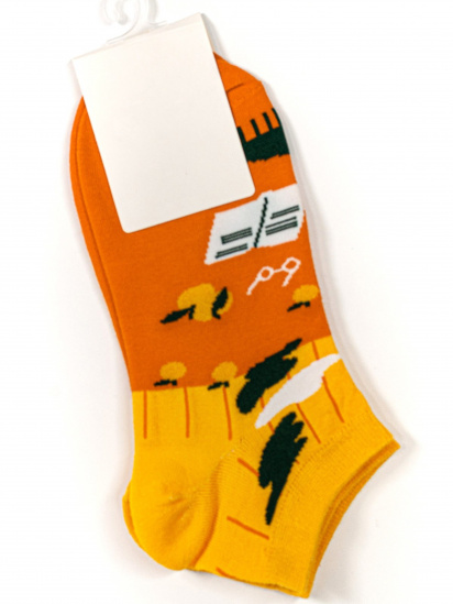 Шкарпетки та гольфи ISSA Plus модель NS-134_orange — фото - INTERTOP