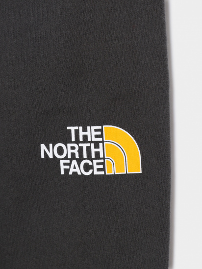 Штаны спортивные The North Face модель NF0A492WS951 — фото 3 - INTERTOP