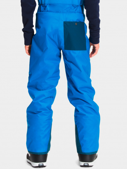 Лижні штани The North Face модель NF0A5G9ZT4S1 — фото 2 - INTERTOP