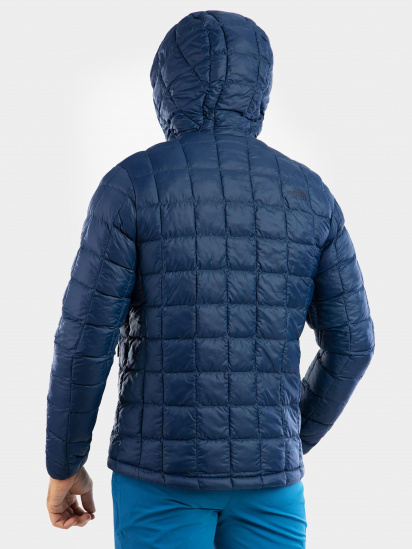 Демисезонная куртка The North Face модель NF0A5GLKHDC1 — фото 5 - INTERTOP