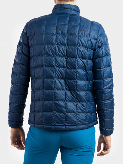 Демисезонная куртка The North Face модель NF0A5GLLHDC1 — фото - INTERTOP