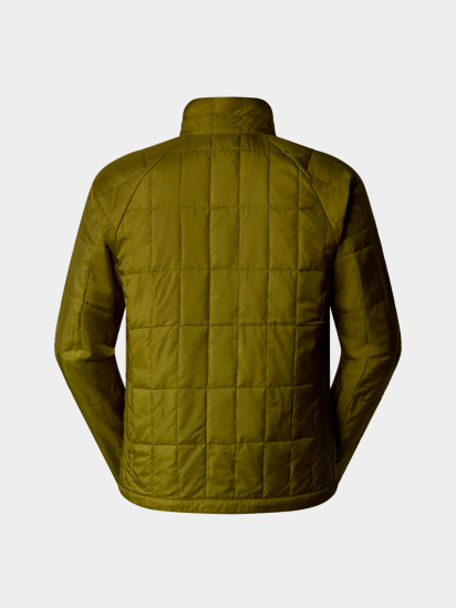 Демисезонная куртка The North Face модель NF0A88EWPIB1 — фото - INTERTOP
