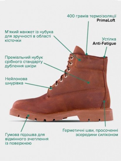 Черевики Timberland Timberland Classic модель TB0A29DVD60 — фото - INTERTOP