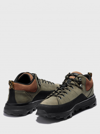 Кросівки для тренувань Timberland Treeline Low Hiker модель TB0A279C901 — фото - INTERTOP