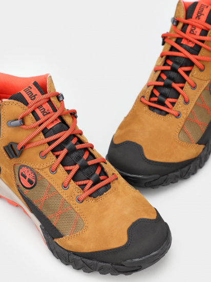 Черевики Timberland TrailQuest Mid WP модель TB0A2P7JD51 — фото 4 - INTERTOP