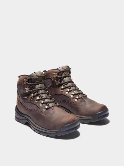 Ботинки Timberland Chocorua Waterproof Mid Hiker модель TB115130210 — фото 3 - INTERTOP