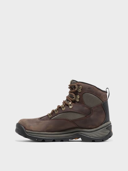 Ботинки Timberland Chocorua Waterproof Hiking модель TB015631242 — фото - INTERTOP