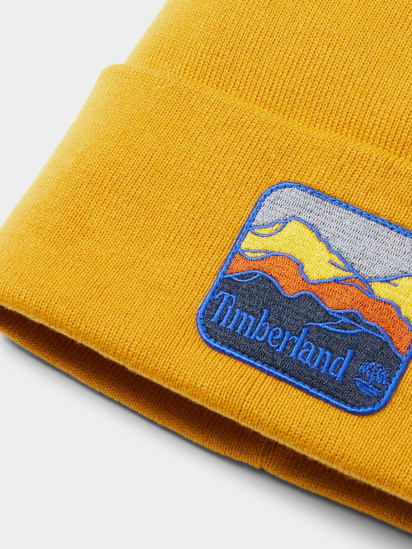 Шапка Timberland Mountain Patch модель TB0A2PNJEFM — фото - INTERTOP