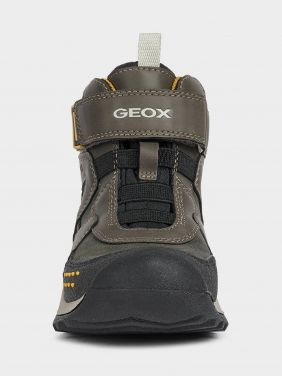Ботинки Geox Teram Boy модель J04AEB-022ME-CA32G — фото 3 - INTERTOP