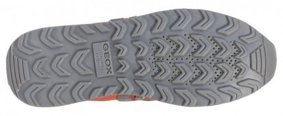 Кросівки Geox модель U845VB-02214-C0058 — фото 6 - INTERTOP