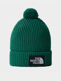 Зелёный - Шапка The North Face Logo Box