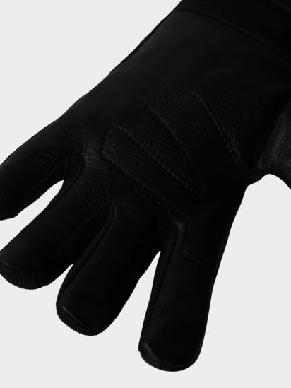 Перчатки The North Face Amp Glove модель NF0A888MJK31 — фото - INTERTOP