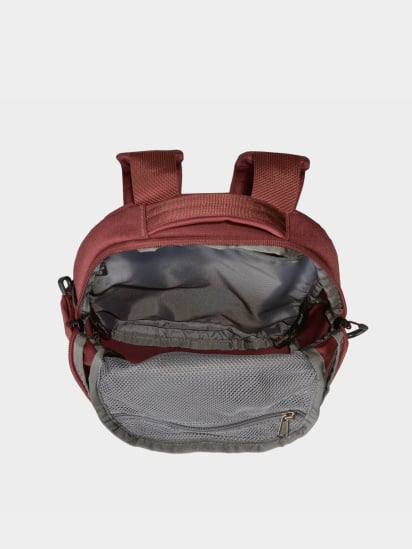 Рюкзак The North Face Borealis Mini 10L модель NF0A52SWRIG1 — фото 3 - INTERTOP