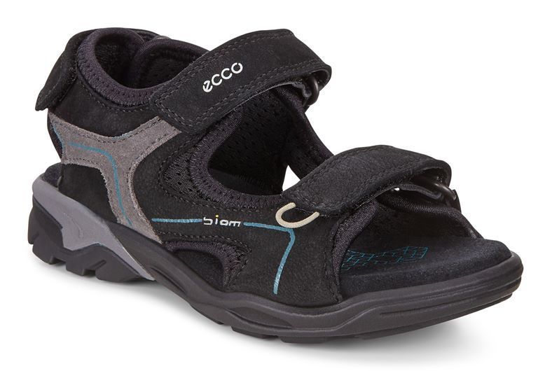 

Сандалии детские ECCO BIOM RAFT 700633(59638), Черный