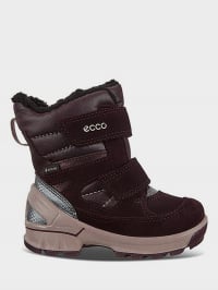 Фиолетовый - Ботинки ECCO BIOM HIKE