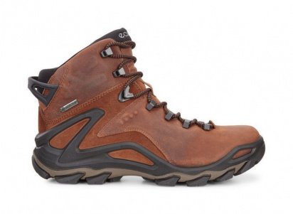 Ecco terra hot sale evo gtx